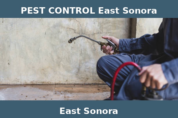 PEST CONTROL East Sonora